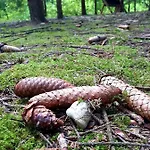 Haidinger's Boutique Domizil Hotel *