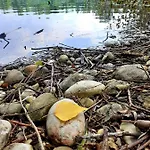 Haidinger's Boutique Domizil Oftering