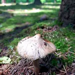 Hotel Haidinger's Boutique Domizil