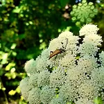 Hotel Haidinger's Boutique Domizil *