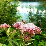 Hotel Haidinger's Boutique Domizil *