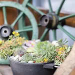 Hotel Haidinger's Boutique Domizil *