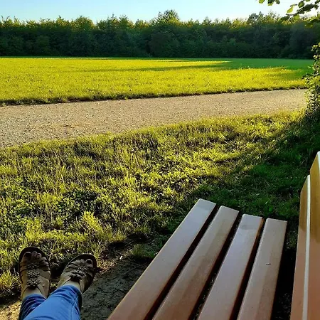 Haidinger's Boutique Domizil ホテル