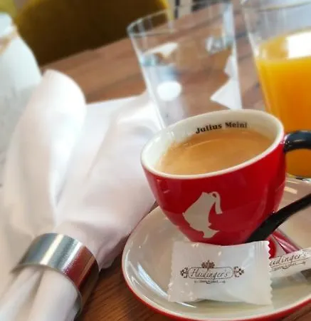 Haidinger's Boutique Domizil Hotel