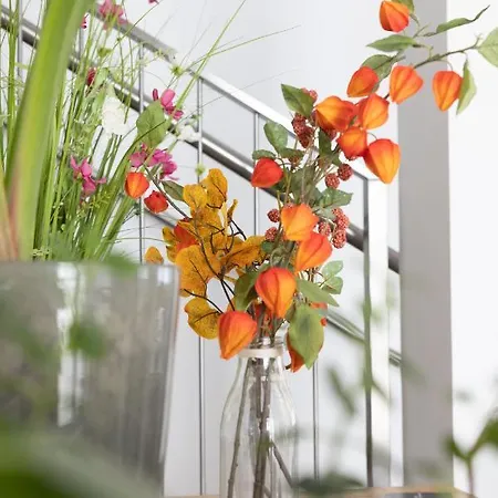 Haidinger's Boutique Domizil Oftering