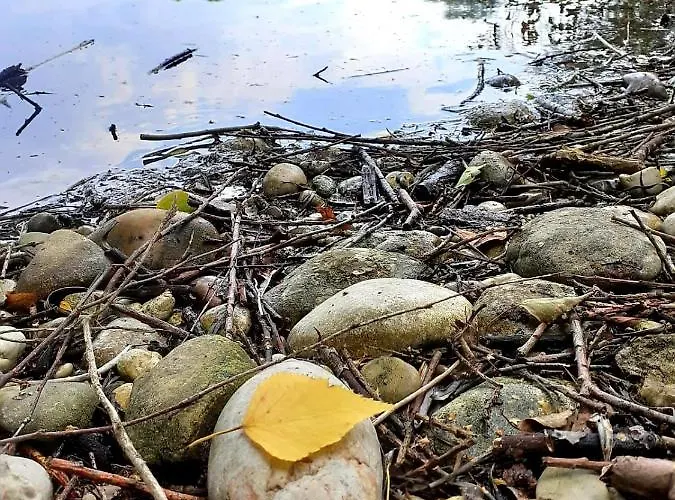 Haidinger's Boutique Domizil Oftering