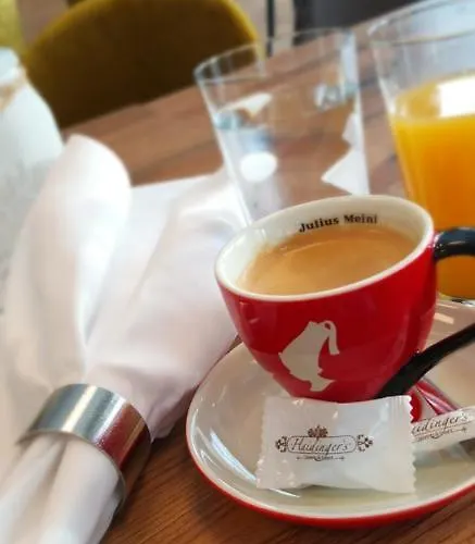 Haidinger's Boutique Domizil Hotel