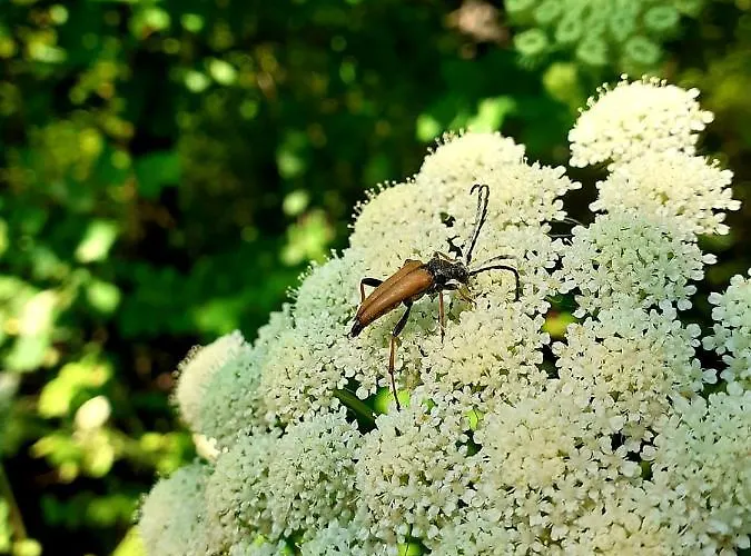 Ξενοδοχείο Haidinger's Boutique Domizil *