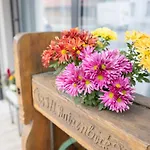 Haidinger's Boutique Domizil 酒店 *
