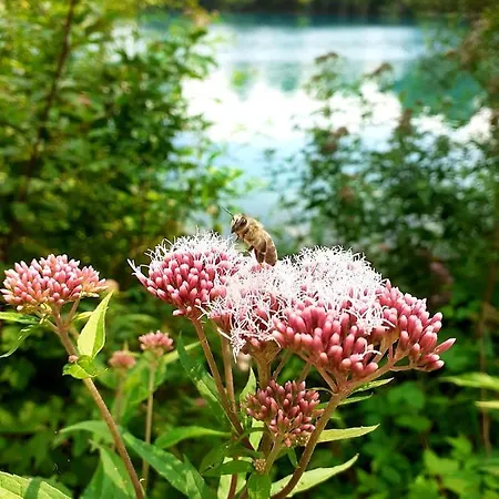 Hotel Haidinger's Boutique Domizil *