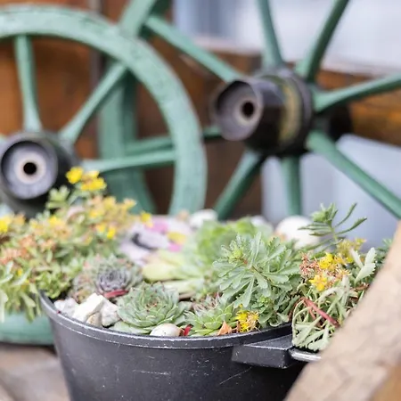 Hotel Haidinger's Boutique Domizil *