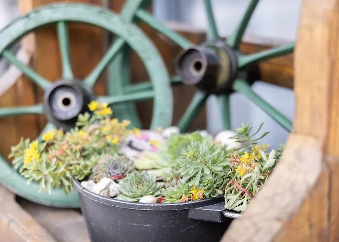 מלון Haidinger's Boutique Domizil *