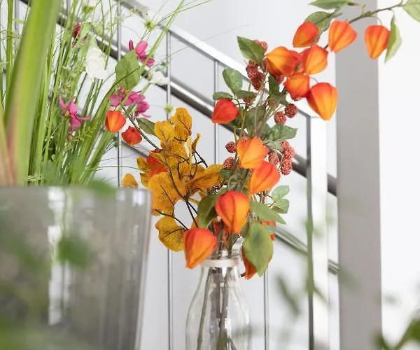 Haidinger's Boutique Domizil Oftering